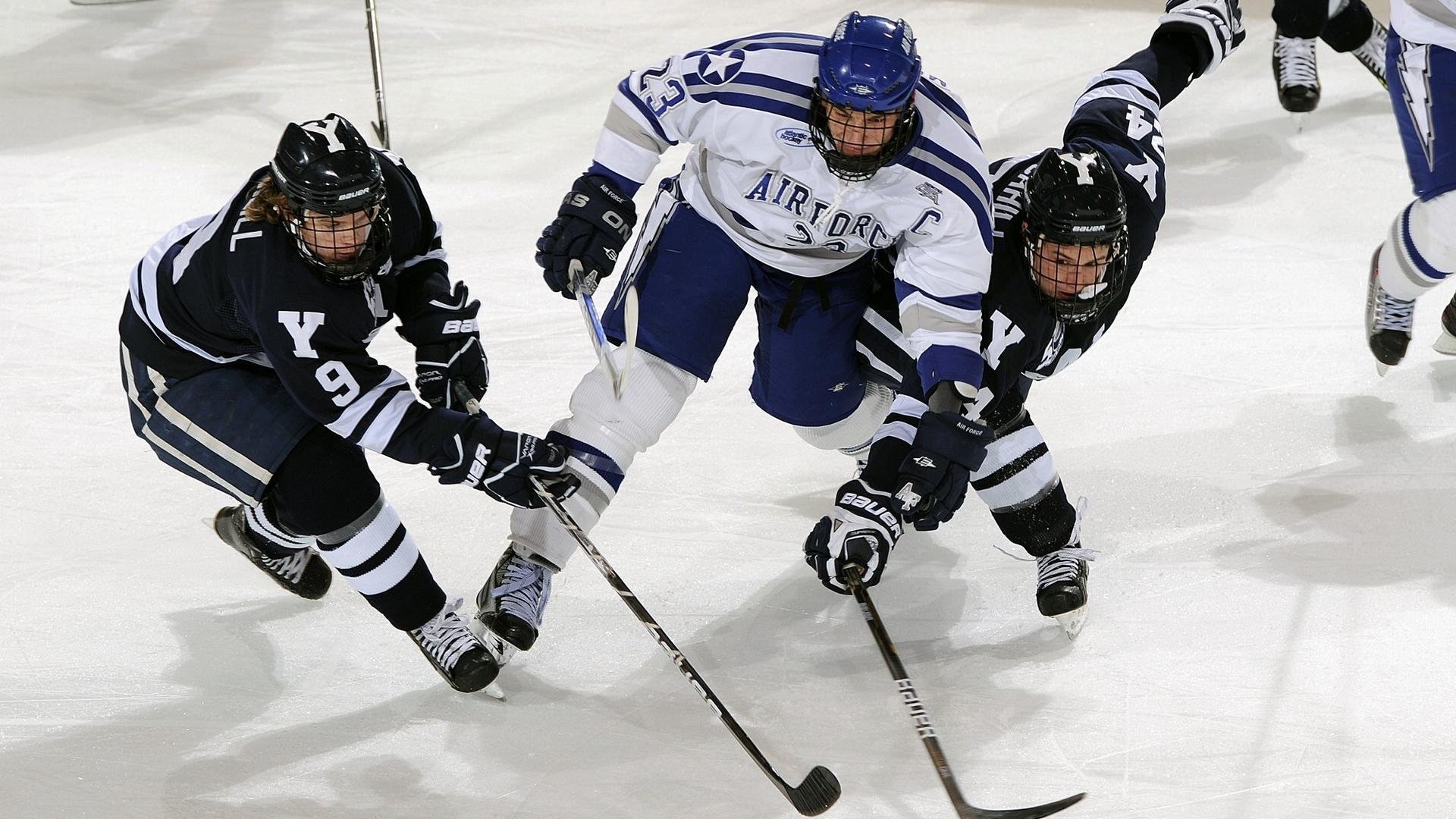 海星直播-关于赛点之战德甲前瞻：纳达尔伤情更新，山东泰山冲击逆转纪录的信息